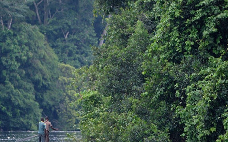 Dan Gertler : Actualité en République Démocratique du Congo