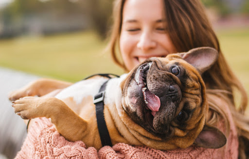 Nos 3 conseils pour des animaux de compagnie heureux