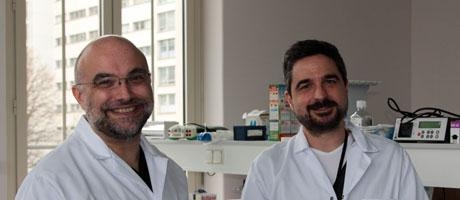 Patrick Legembre : Médicaments d’immunothérapie pour les patients atteints d’un cancer