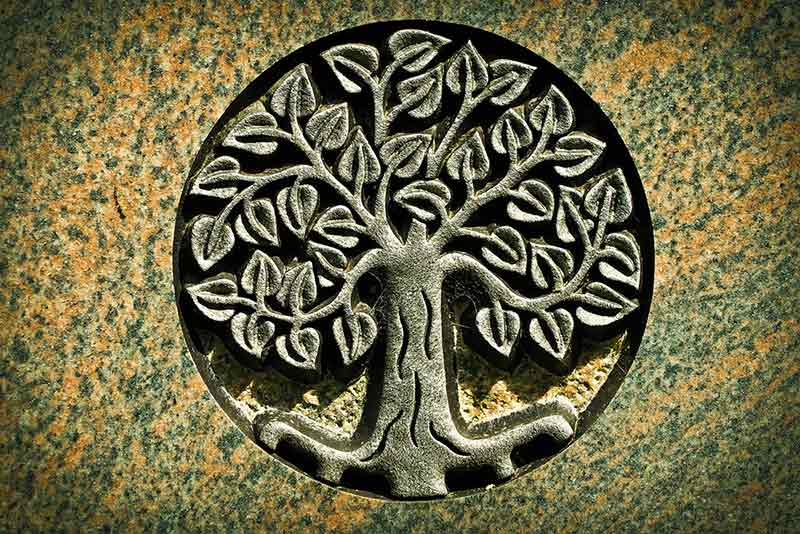 L’arbre de vie : un symbole porte-bonheur