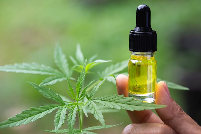 Huile de CBD : découvrez tout son potentiel !