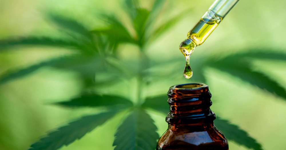 Comment utiliser l’huile de CBD ?