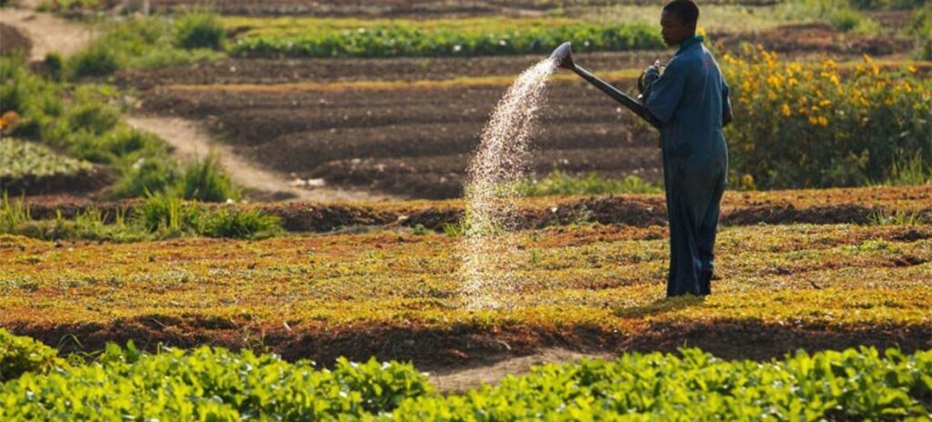 Fiers de nos terres pour la mise en valeur des produits agricoles