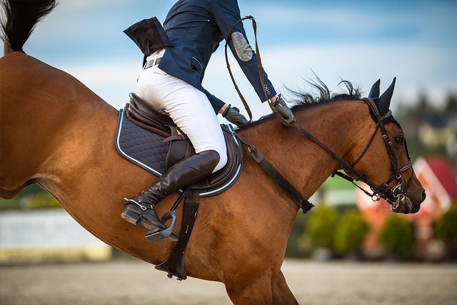 Comment choisir un tapis de selle pour votre cheval ?