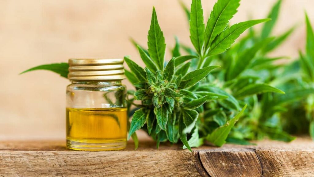 Les utilisations et les avantages pour la santé de l’huile de CBD biologique