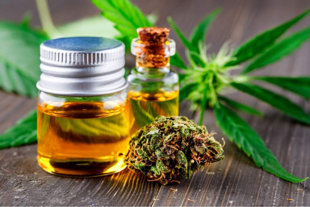 Comment se cultive la fleur de CBD ?