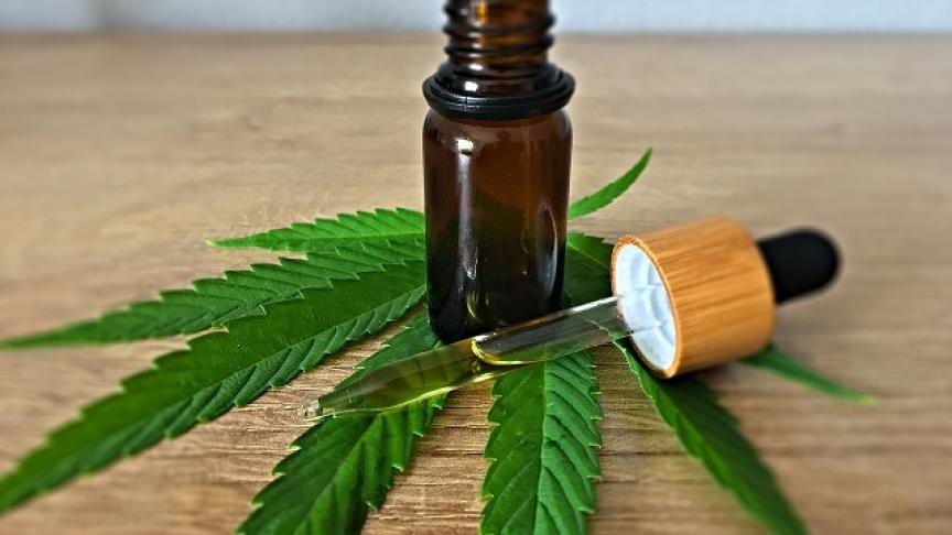 Les bienfaits surprenants du CBD pour votre santé et votre bien-être