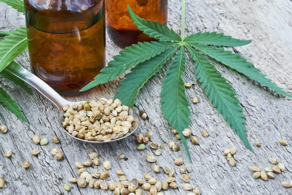 Découverte des Graines de Cannabis : Un Guide Complet sur leurs Propriétés et Utilisations