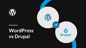 Pourquoi choisir Drupal plutôt que WordPress pour les grands sites ?